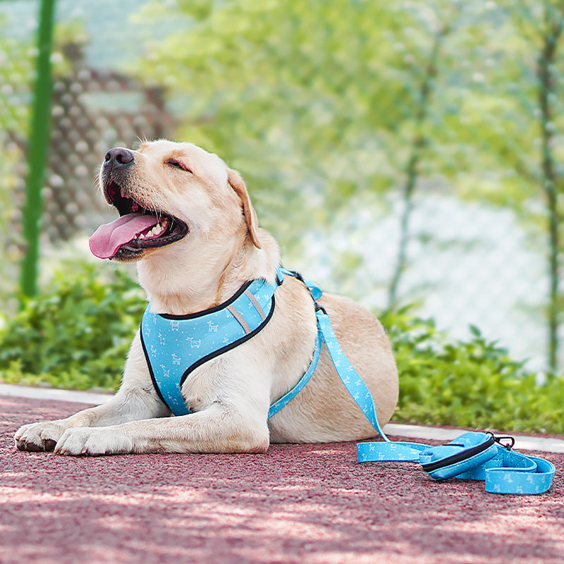 Discover the Perfect Pet Bow Harness And Leash